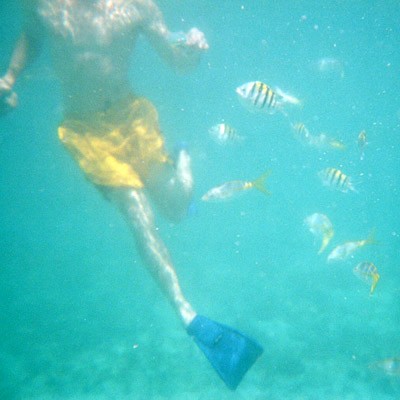Waterworld (Special Edition)