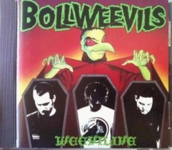 Weevilive