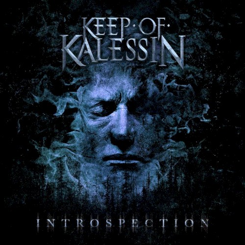 Introspection
