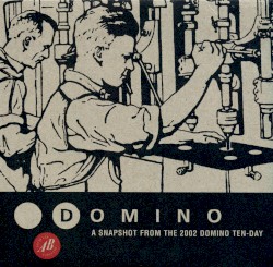 Domino: A snapshot from the 2002 Domino Ten-day