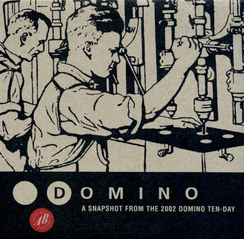 Domino: A snapshot from the 2002 Domino Ten-day