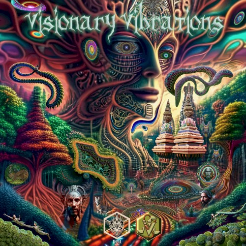 Visionary Vibrations