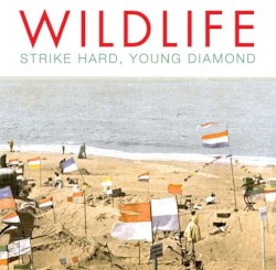 Strike Hard, Young Diamond