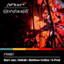 Fourier Transform(d) One