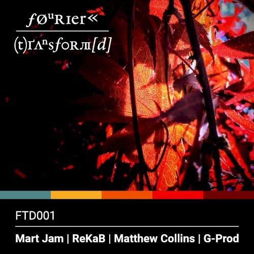 Fourier Transform(d) One
