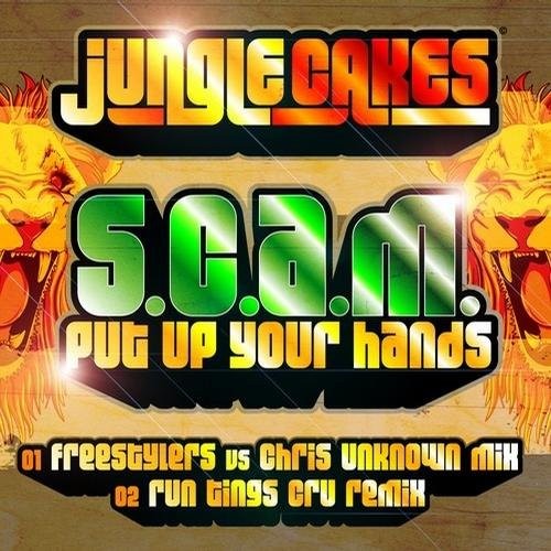 Put Up Your Hands
