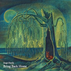 Bring Back Home