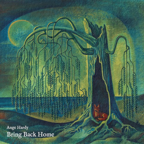 Bring Back Home