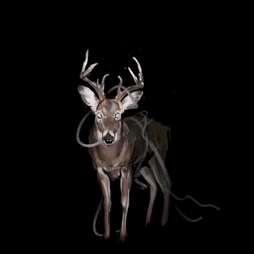 Bambi