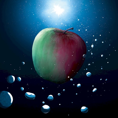 melon