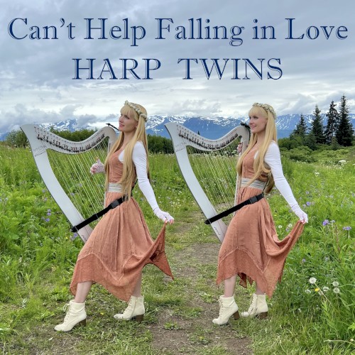 Can't Help Falling in Love