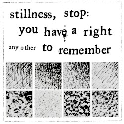 stillness, stop: you have a right to remember