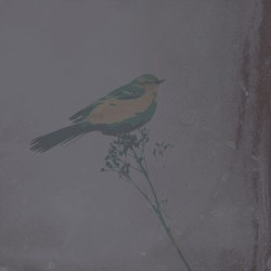 Time Lapse