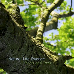 Plants And Trees