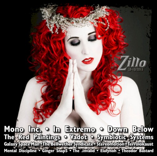 Zillo CD-10/2013
