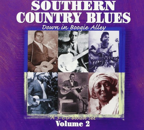 Southern Country Blues, Volume 2: Down in Boogie Alley