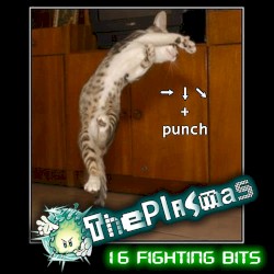 16 Fighting Bits