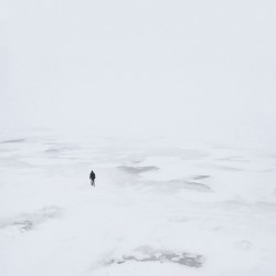 Polar