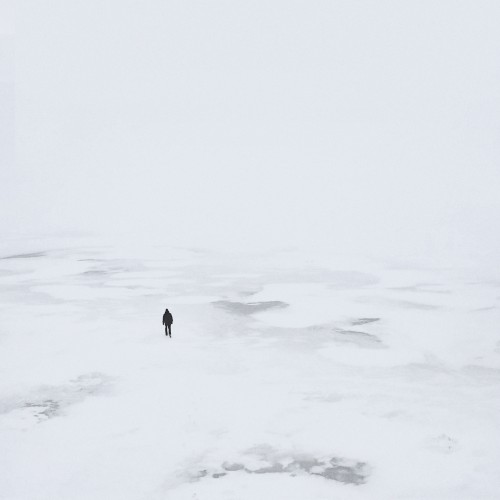 Polar