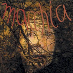 Macchia Forest
