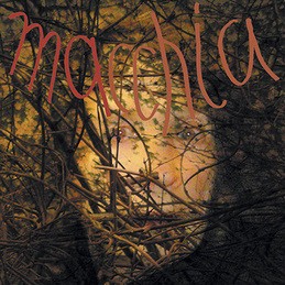 Macchia Forest