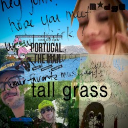 TALL GRASS