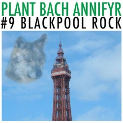 #9 Blackpool Rock