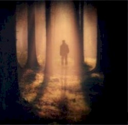 Twilight Shadows