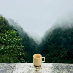 Herbal Tea