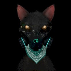 Gato de noche