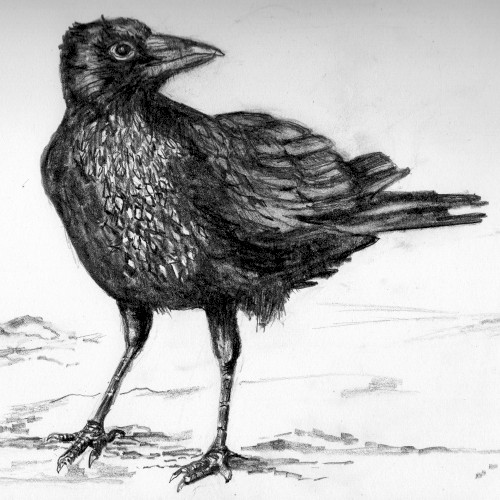 Ravenous