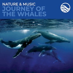 Journey of the Whales