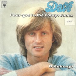 Pour que tu me comprennes / Dommage