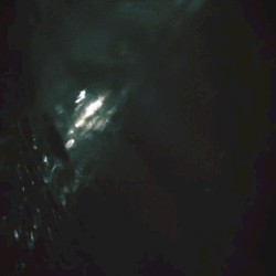 Dark Wood, Dark Water