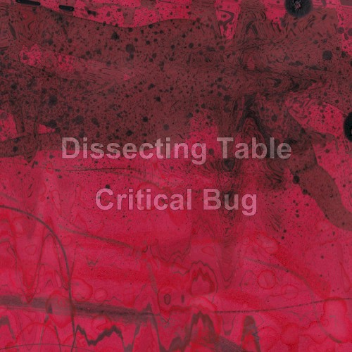 Critical Bug