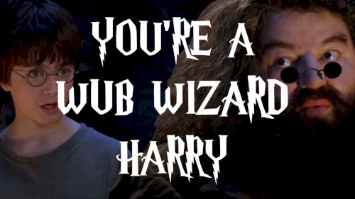 YOU’RE A WUB WIZARD HARRY…