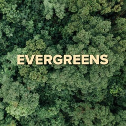 Classic Evergreens