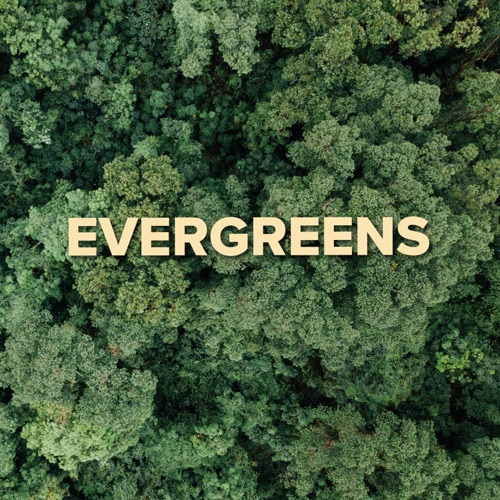 Classic Evergreens