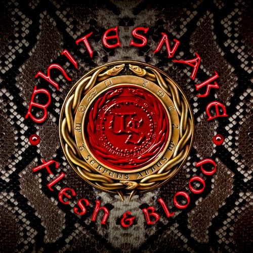 Shut Up & Kiss Me