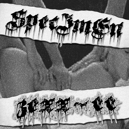 ZEXX-EE & SpecImEn