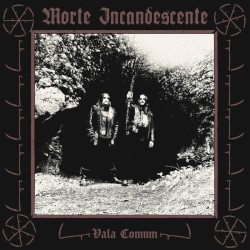Vala Comum