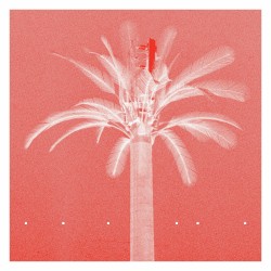 Digital Palm (reprise)