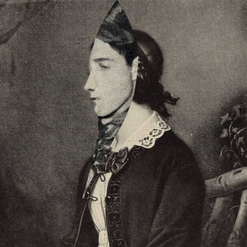 Træerne & Intetheden V-VI