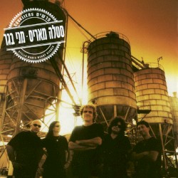 פרשים