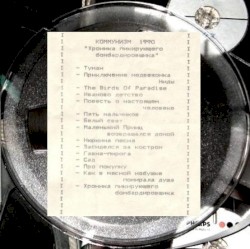 Хроника пикирующего бомбардировщика