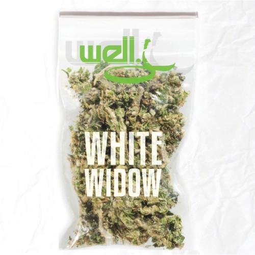 White Widow