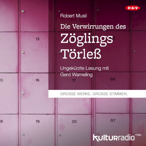 Die Verwirrungen des Zöglings Törleß