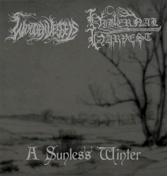 A Sunless Winter