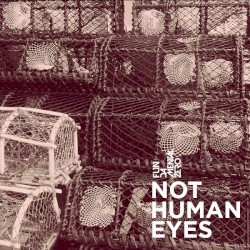 Not Human Eyes