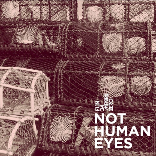 Not Human Eyes